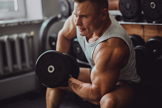 Gym equipment and machines list
